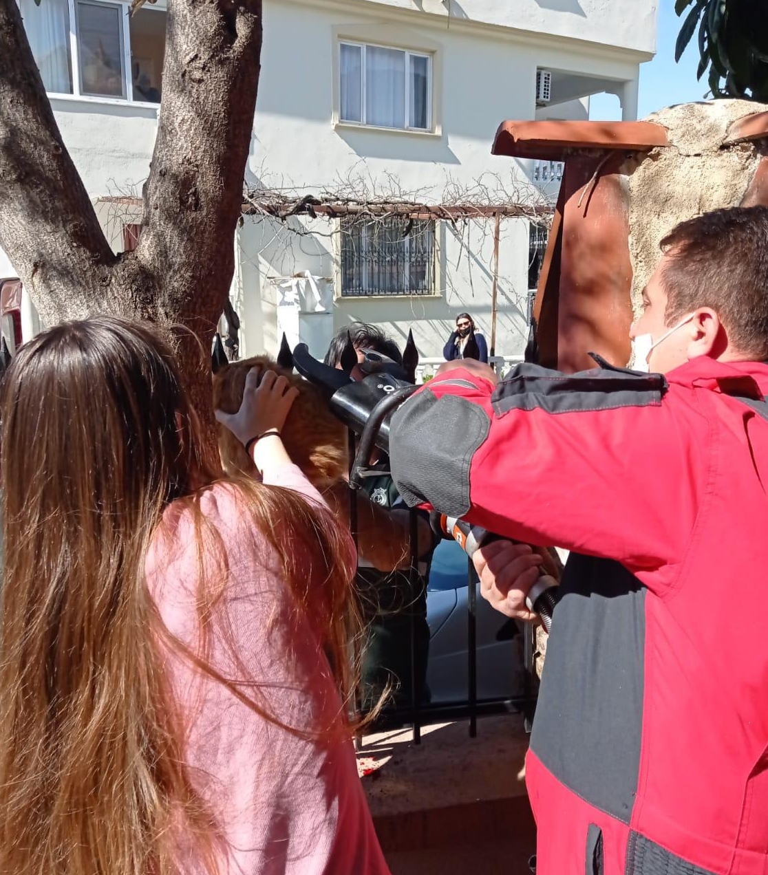 korkuluk demirinde sıkışan kedi kurtarıldı