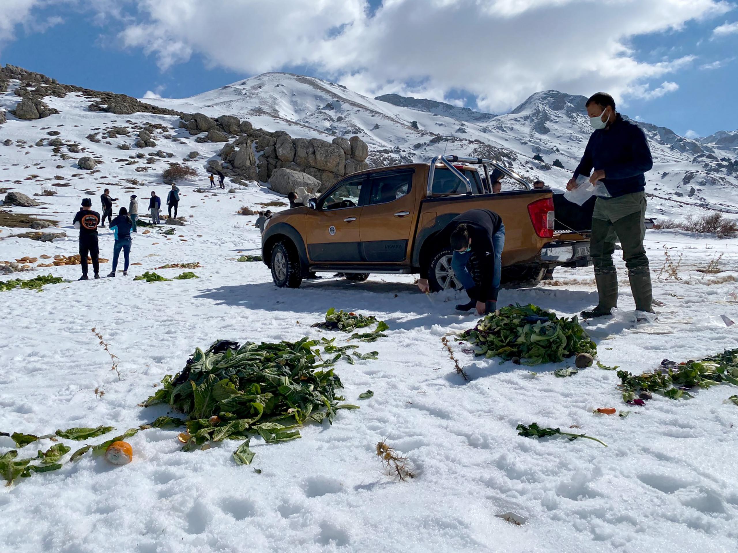 Muğla'da yaban hayvanları için doğaya yem bırakıldı