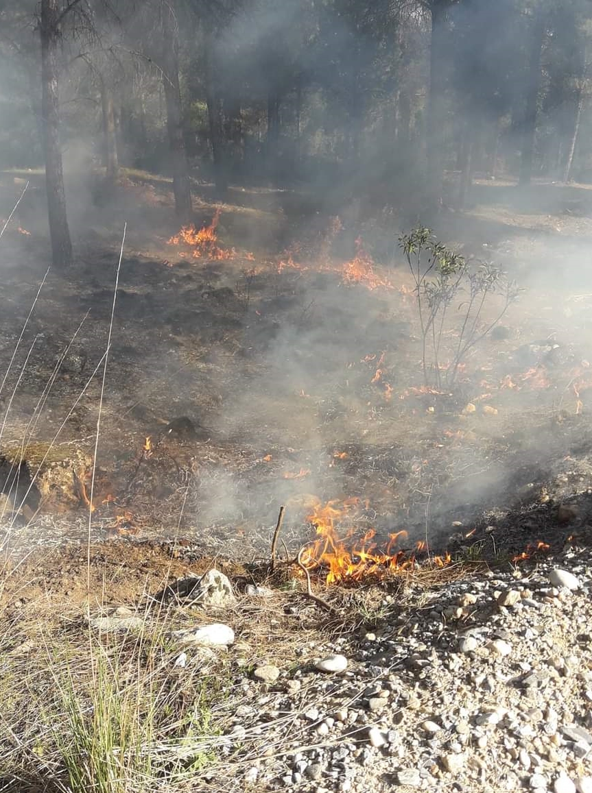 Muğla'da ormanlık alanda çıkan yangın söndürüldü