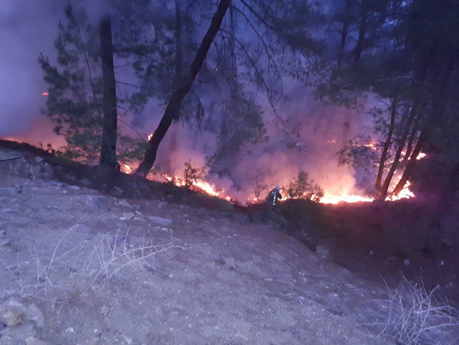 orman yangını büyümeden söndürüldü