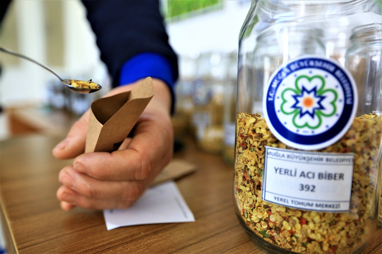 Muğla’dan domates ve biber yerel tohumu Türkiye'ye dağıldı