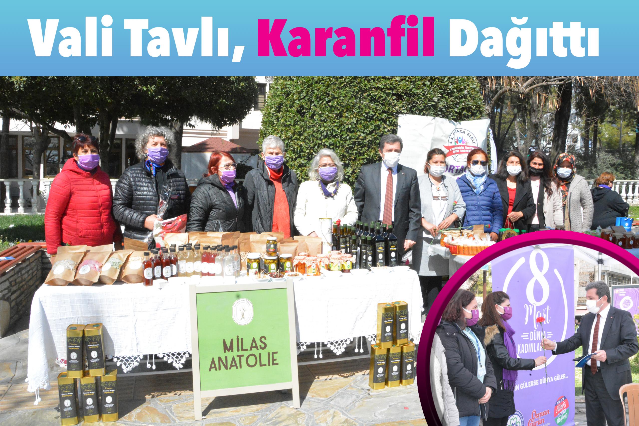 Vali Tavlı, Karanfil Dağıttı