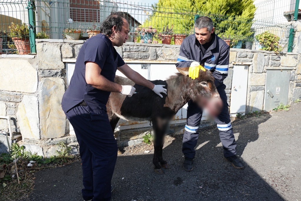 "LODOS" YENİ YUVASINDA