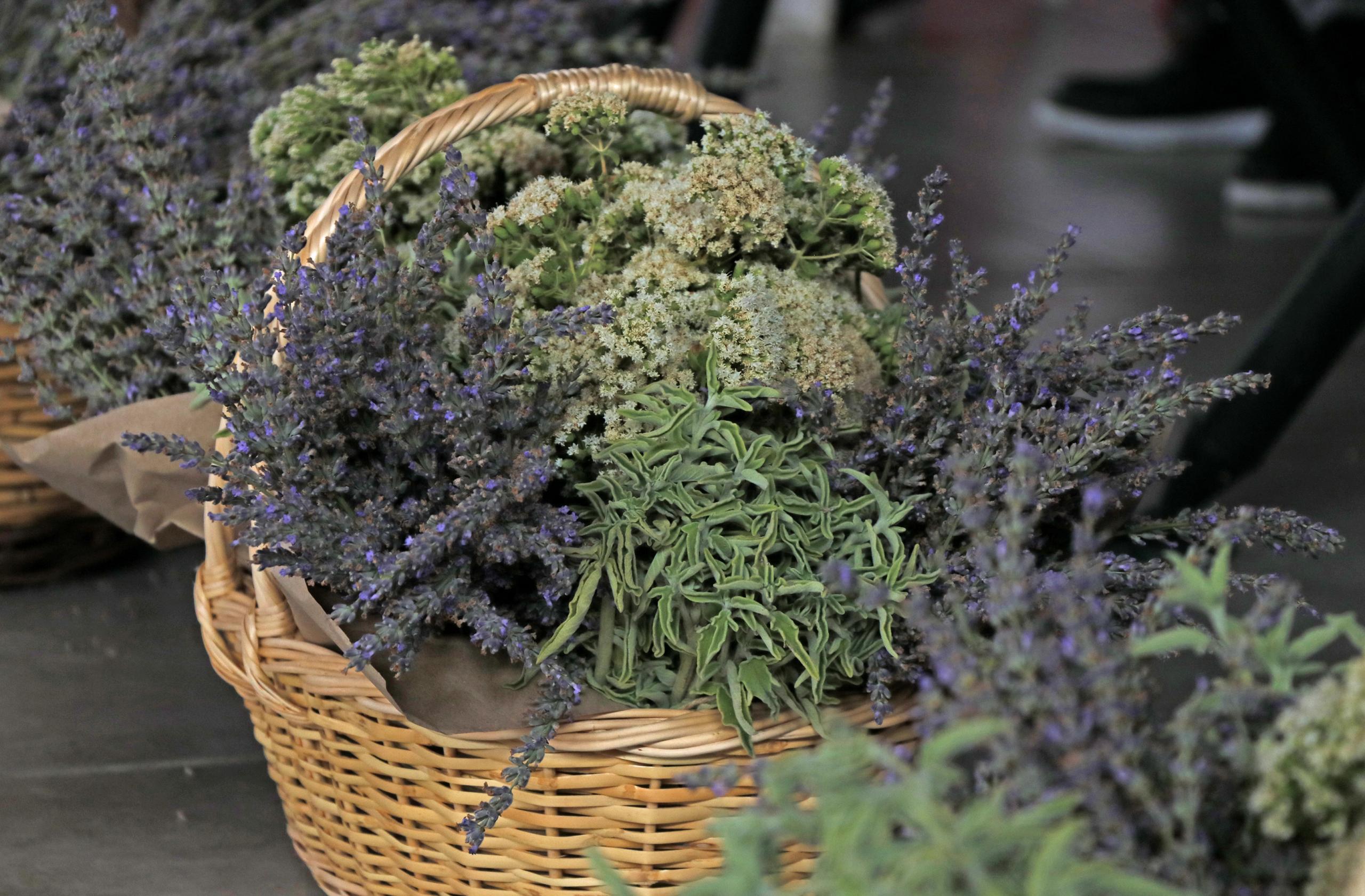 Bilinçli tarımla üretilen tıbbi ve aromatik bitkiler çiftçiye gelir sağlayacak
