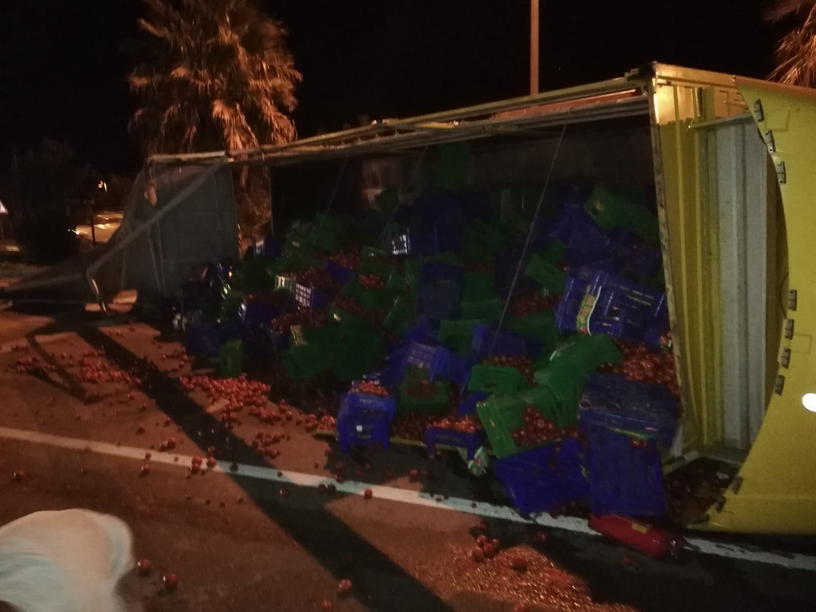 Devrilen kamyonun sürücüsü yaralandı