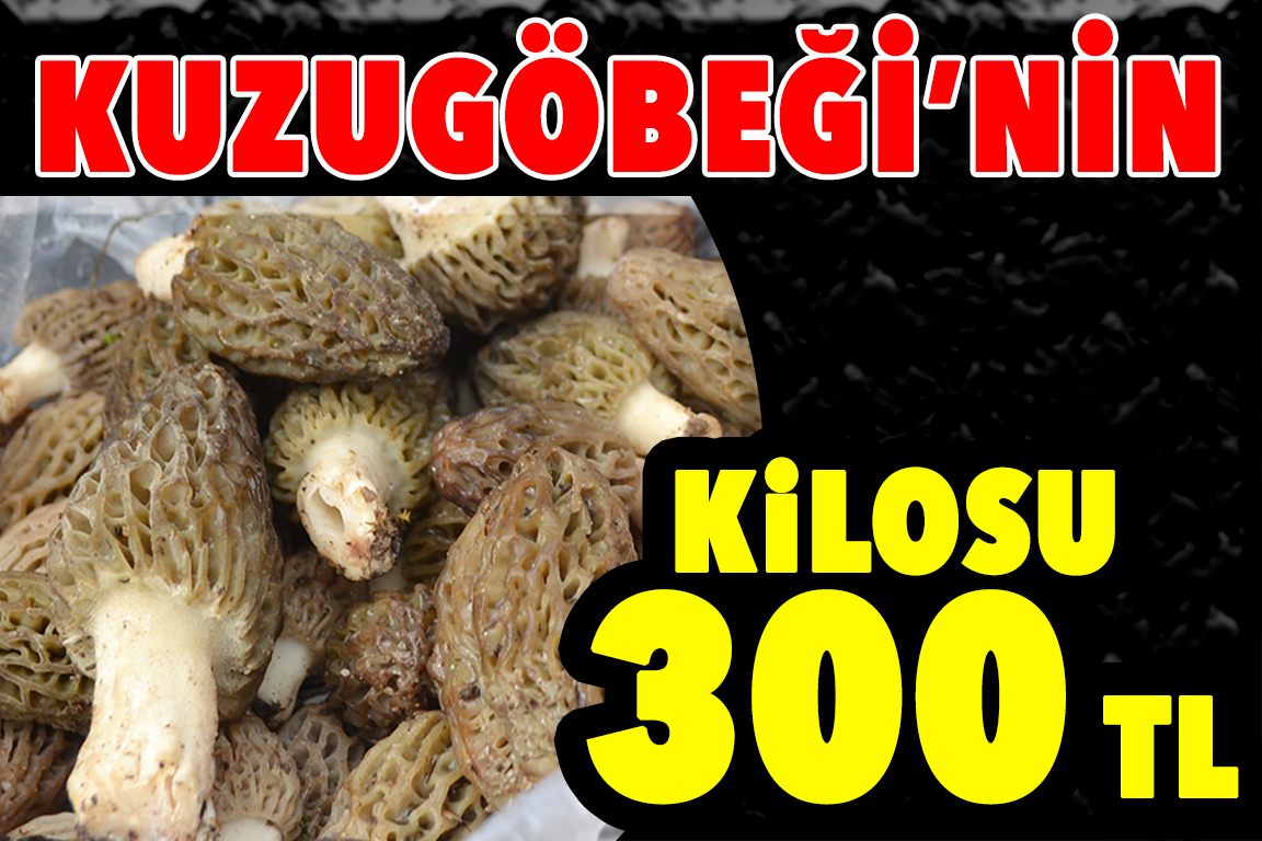 KUZUGÖBEĞİ’NİN KİLOSU 300 TL