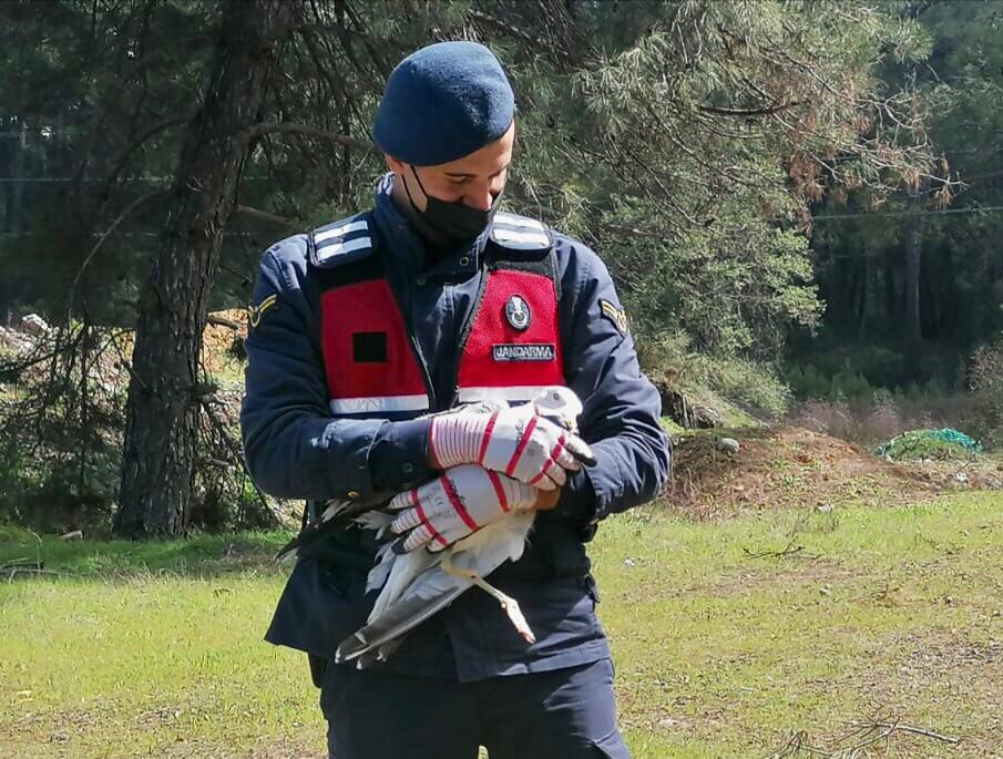 YARALI MARTI HASTANEYE TESLİM EDİLDİ