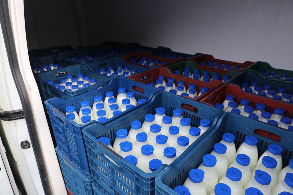 HALK SÜT YENİDEN EVLERDE