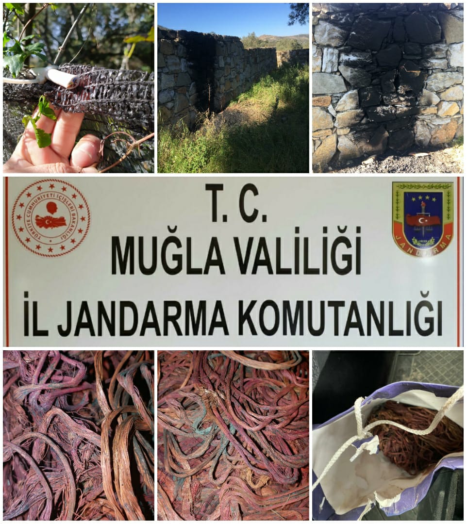 KABLOLARI ÇALAN ŞÜPHELİ YAKALANDI