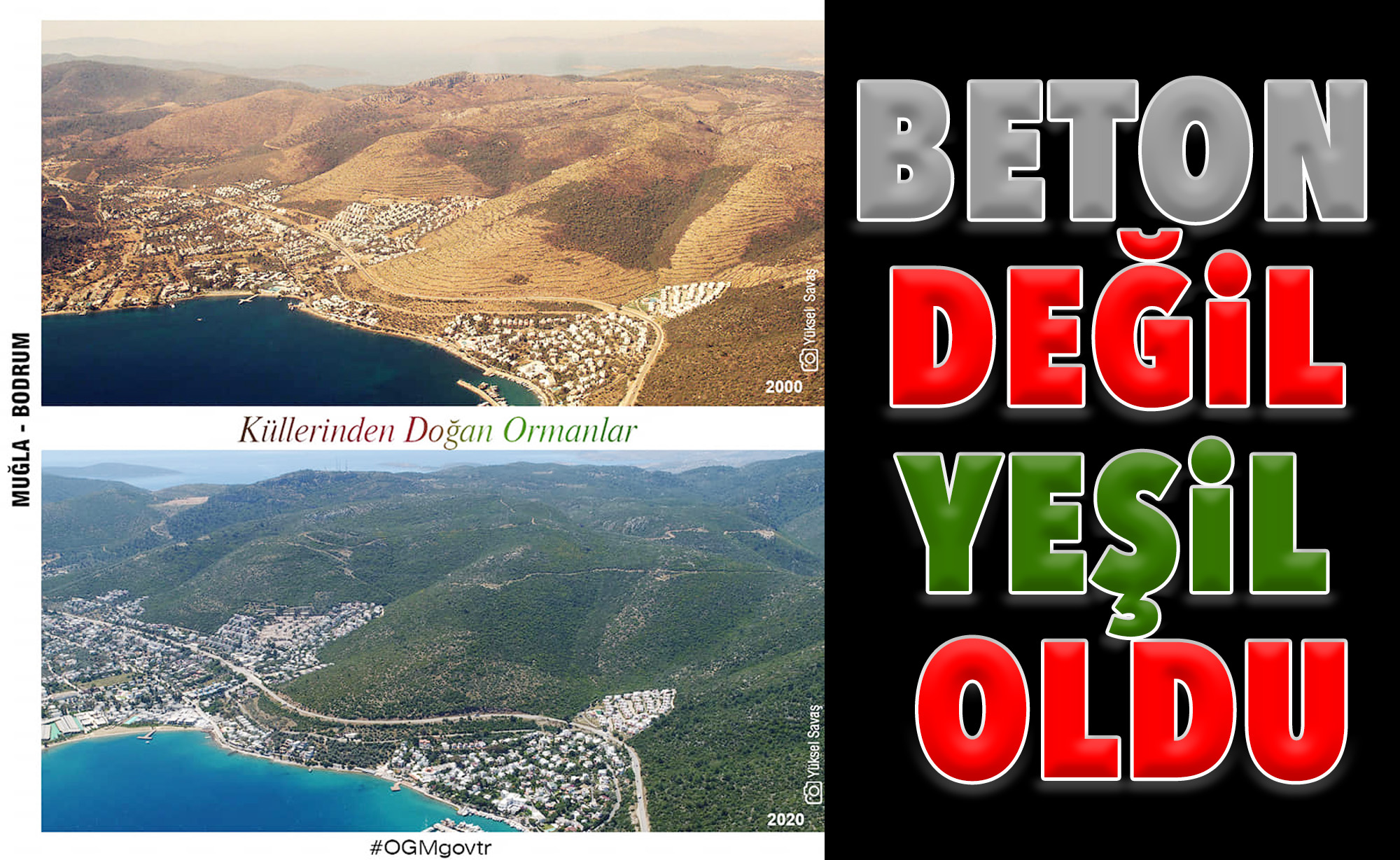 BETON DEĞİL  YEŞİL OLDU