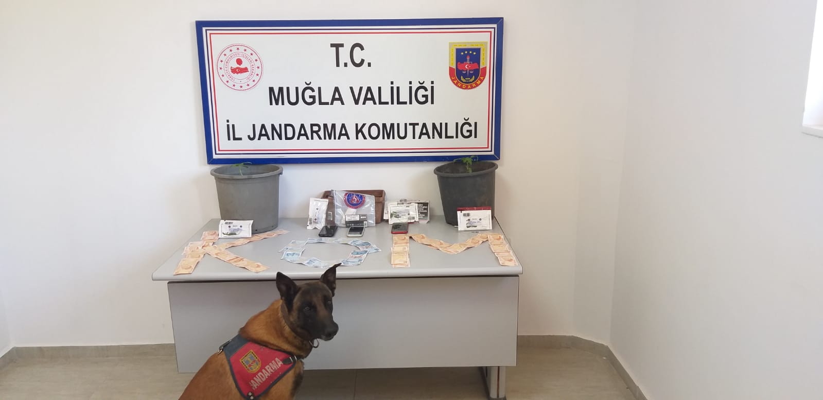 KÖYCEĞİZ’DE UYUŞTURUCU OPERASYONU