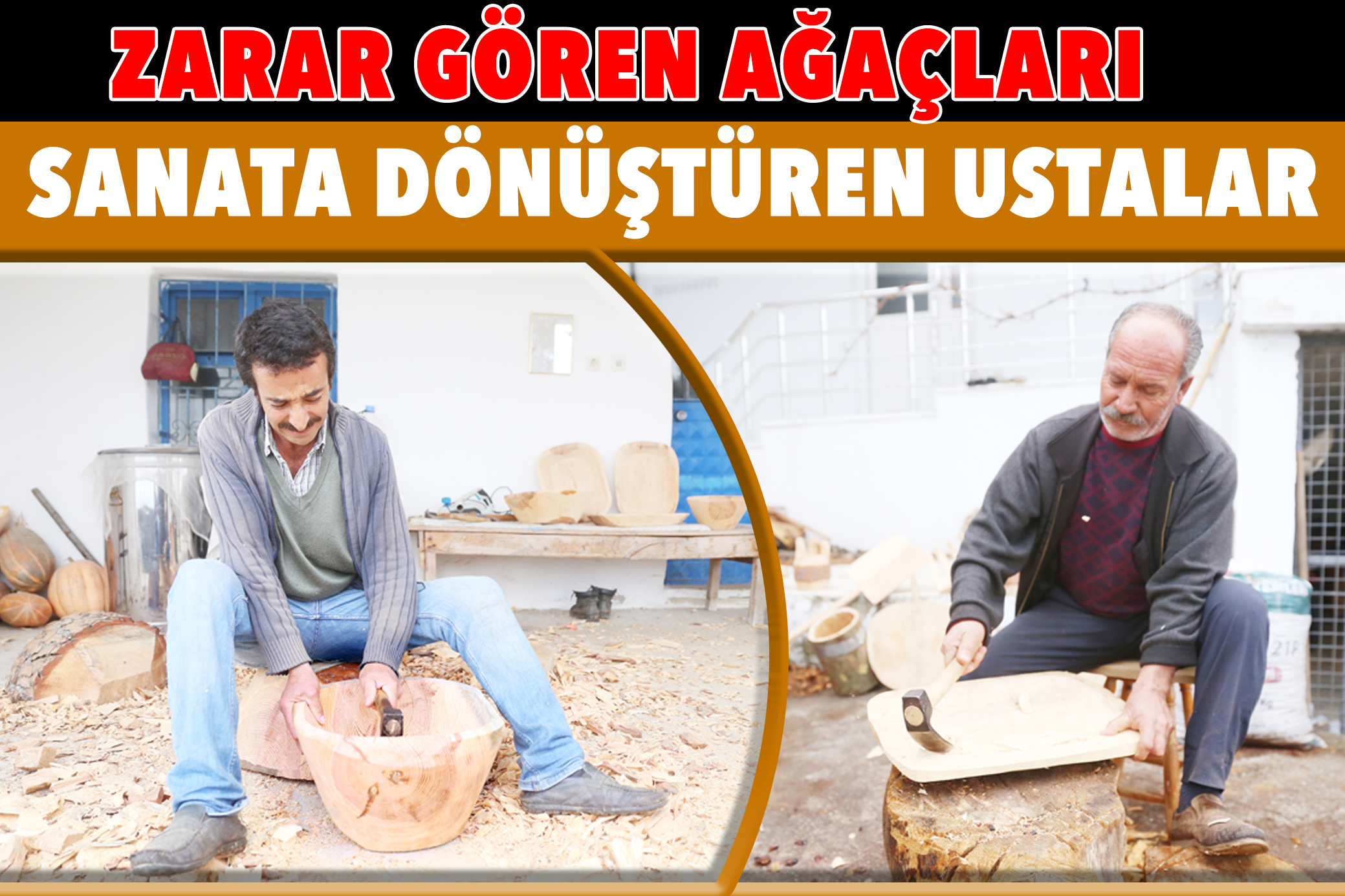 ZARAR GÖREN AĞAÇLARI SANATA DÖNÜŞTÜREN USTALAR