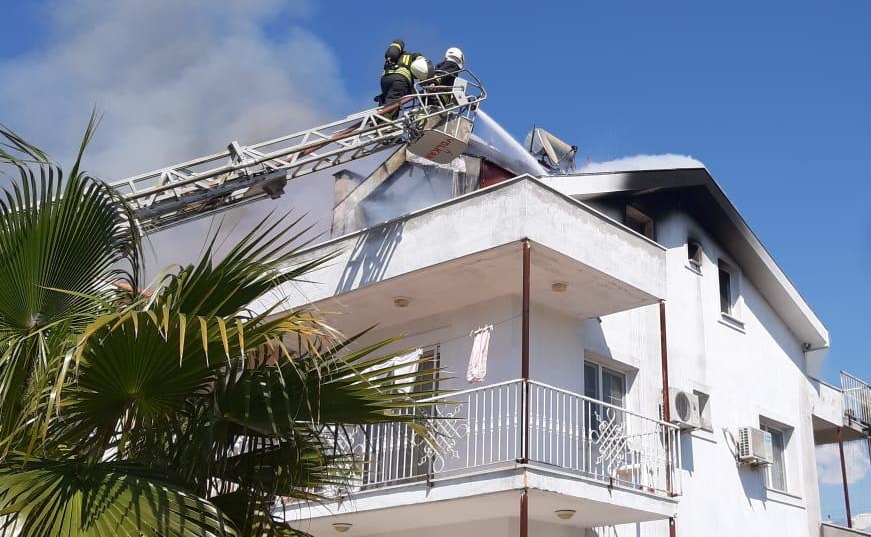 iş yerinin tavanında mahsur kalan kedi yavrusu kurtarıldı