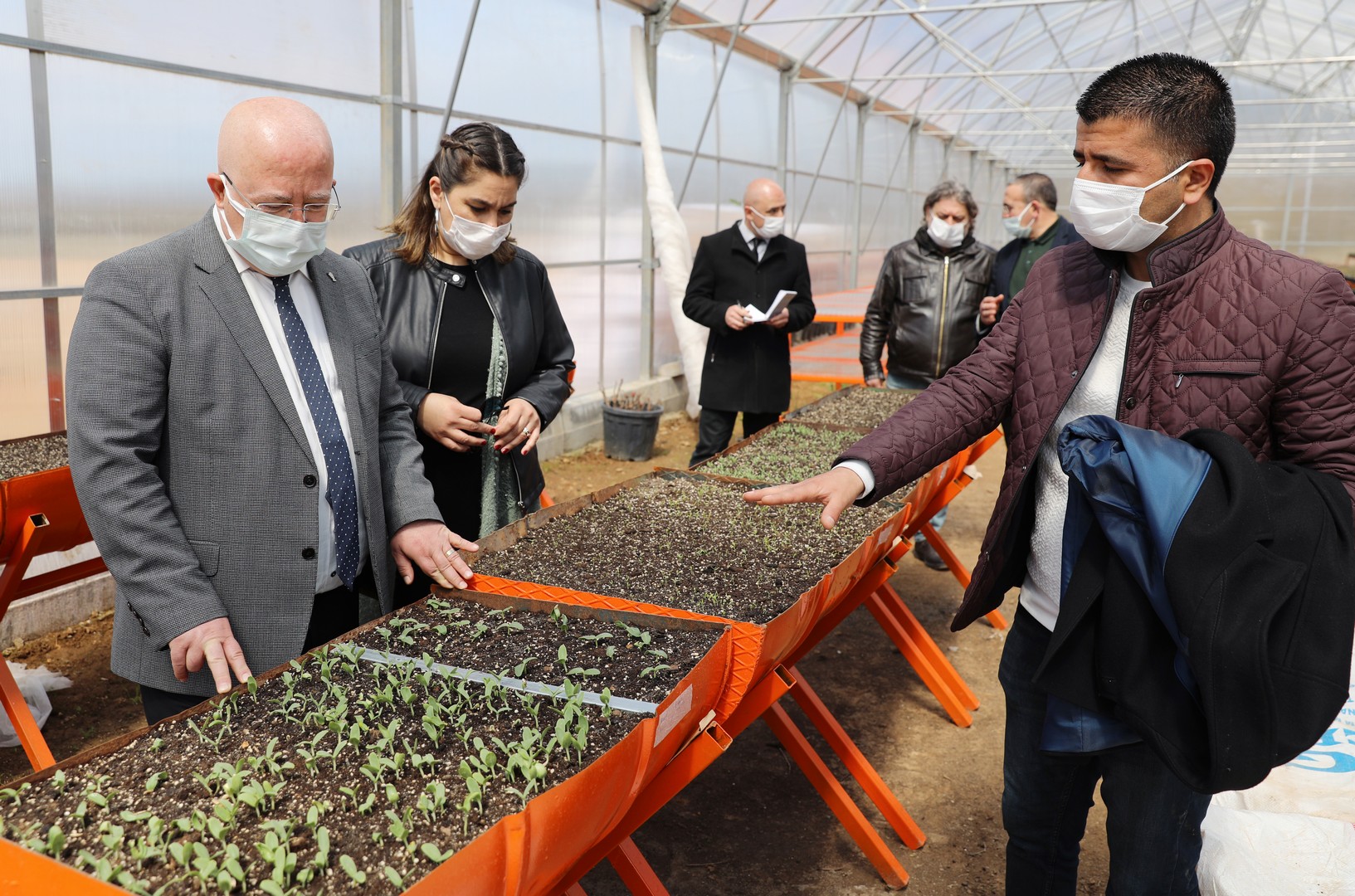 Menteşe Belediyesi Bitkilerini Kendi Serasında Üretiyor