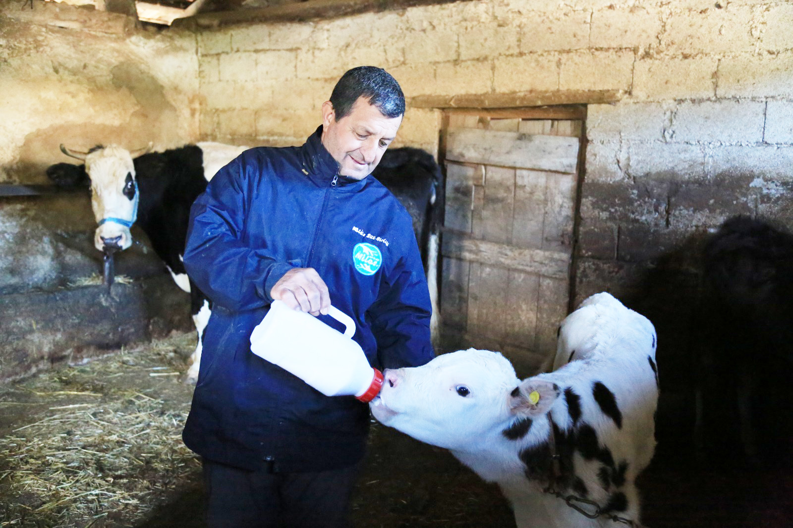 ÜRETİCİLERİN KADERİ SÜT BİRLİĞİ İLE DEĞİŞTİ