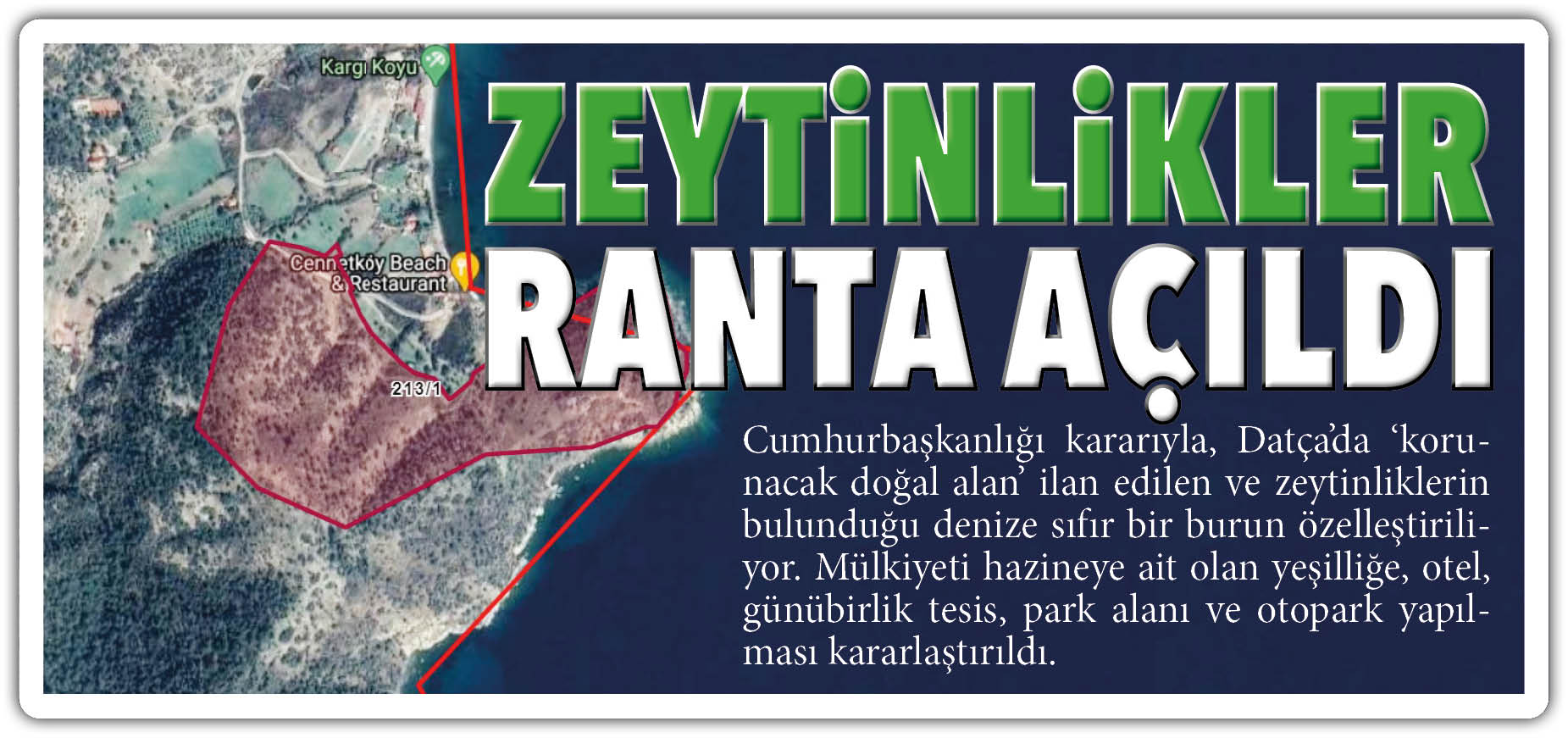 ZEYTİNLİKLER RANTA AÇILDI