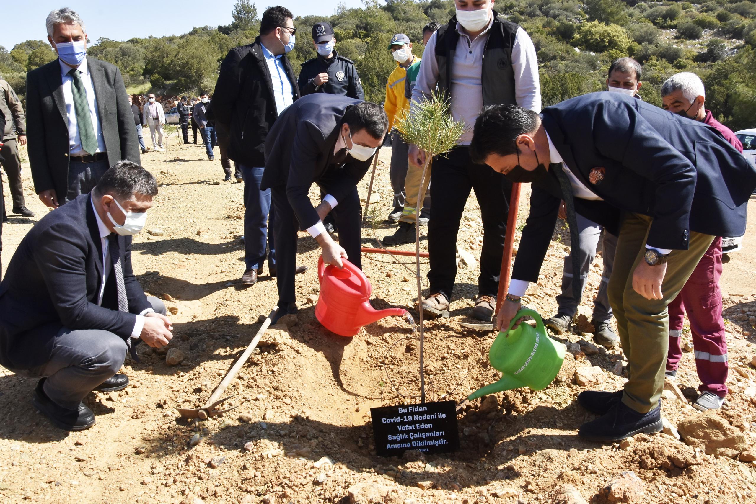 Bodrum'da sağlık çalışanları anısına fidan dikildi