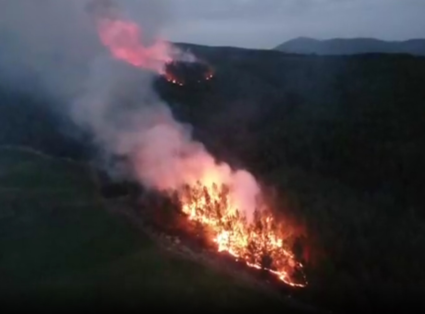 Muğla’da orman yangını ekipler teyakkuza geçti