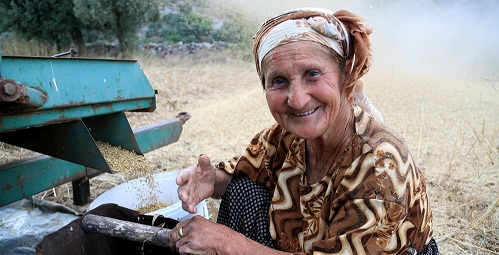 “Türkiye buğday ithal edebilir”