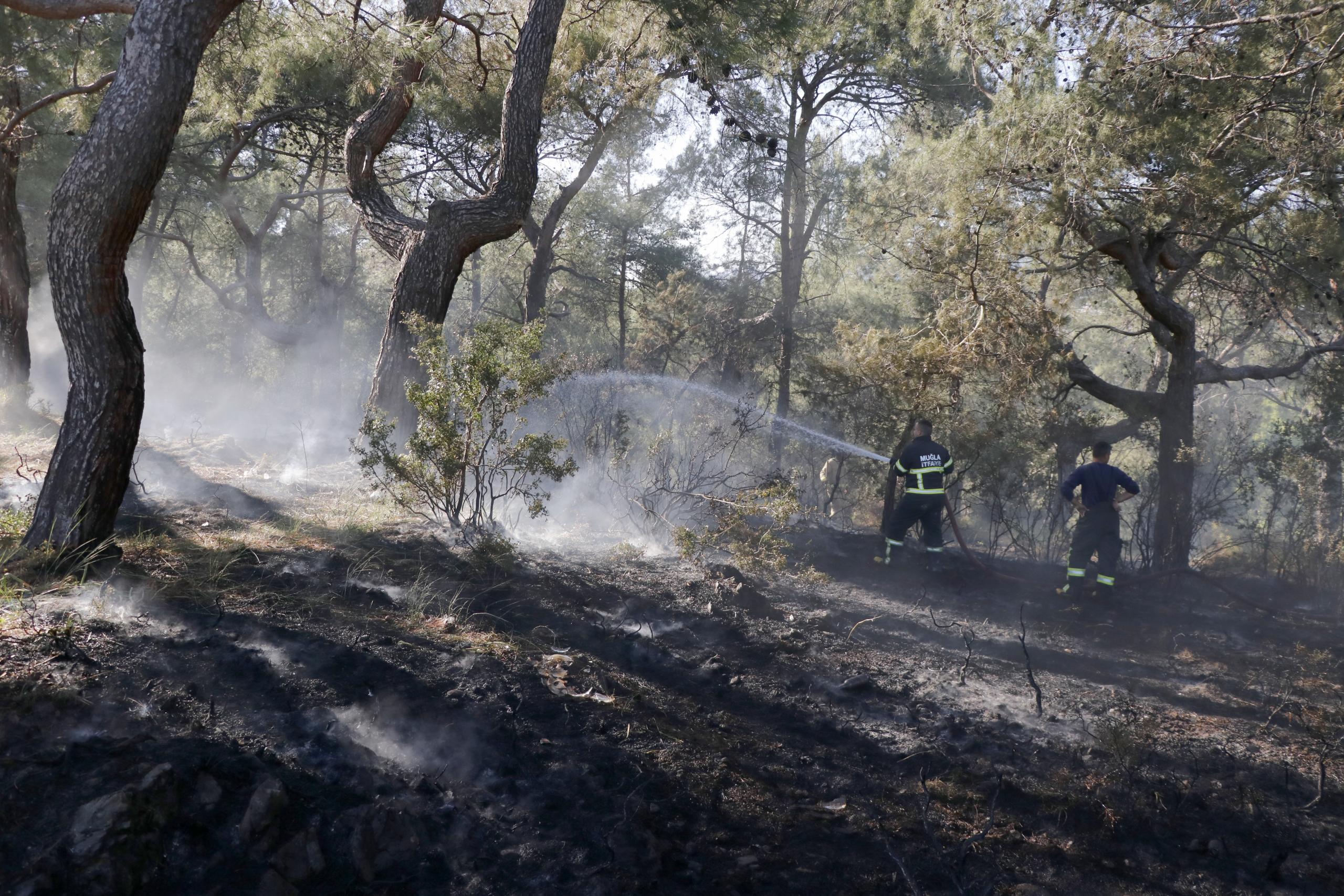 çıkan orman yangını söndürüldü