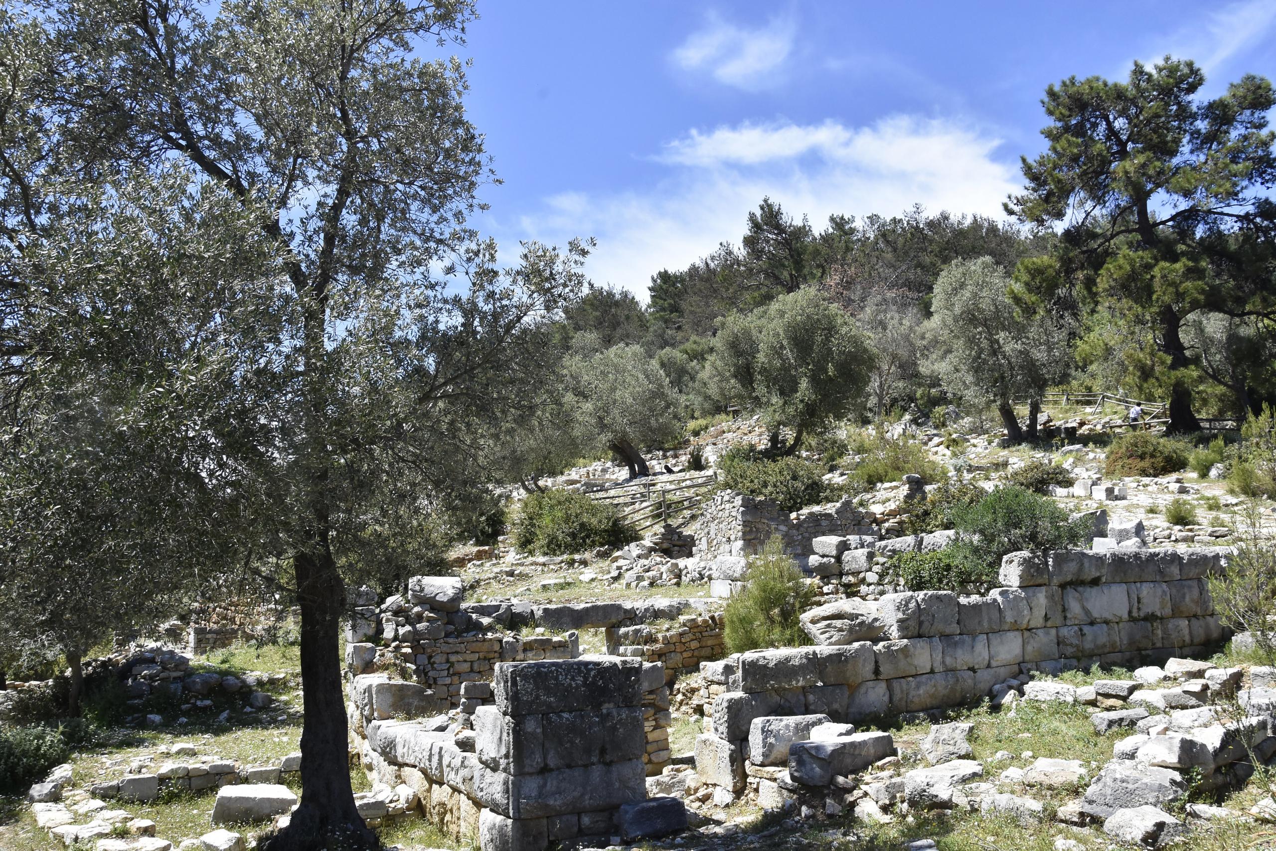 Muğla'da Pedasa Antik Kenti'nde çalışmalar başladı