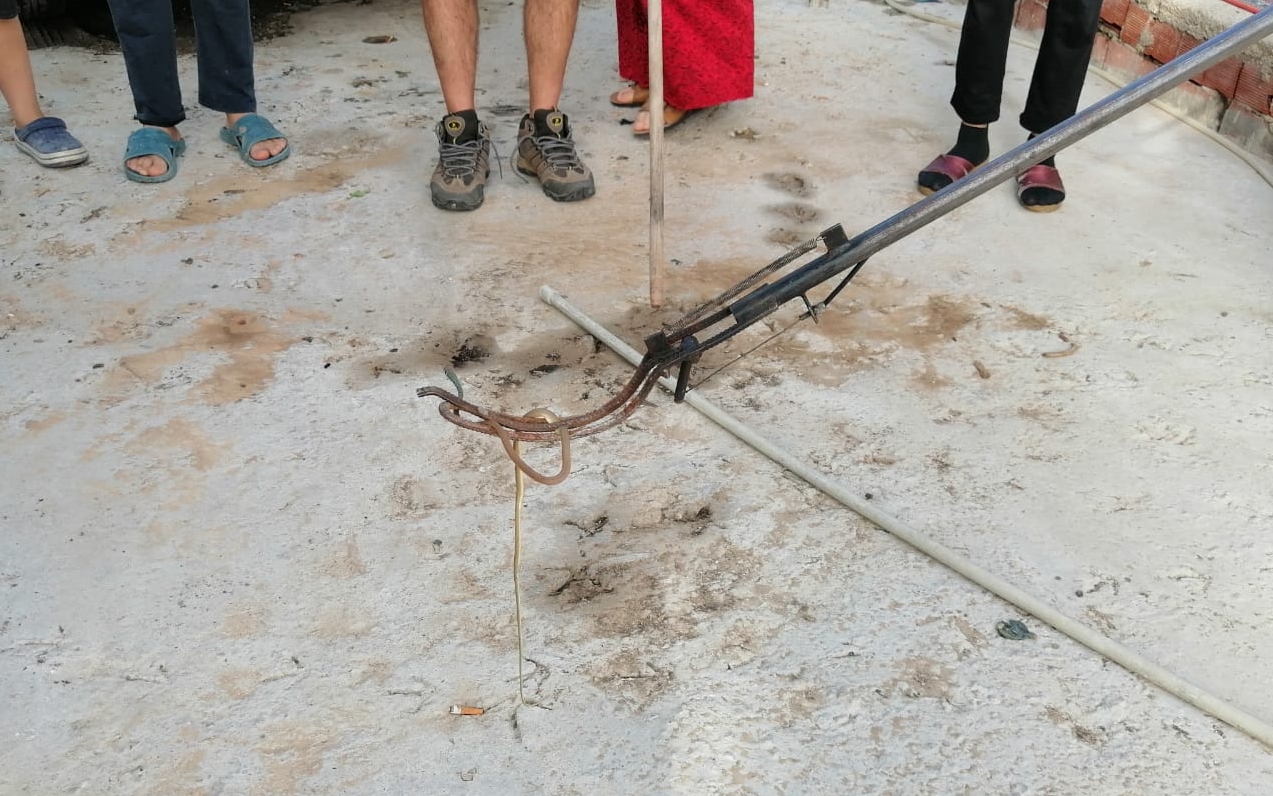 evin yatak odasında yakalanan yılan doğaya salındı