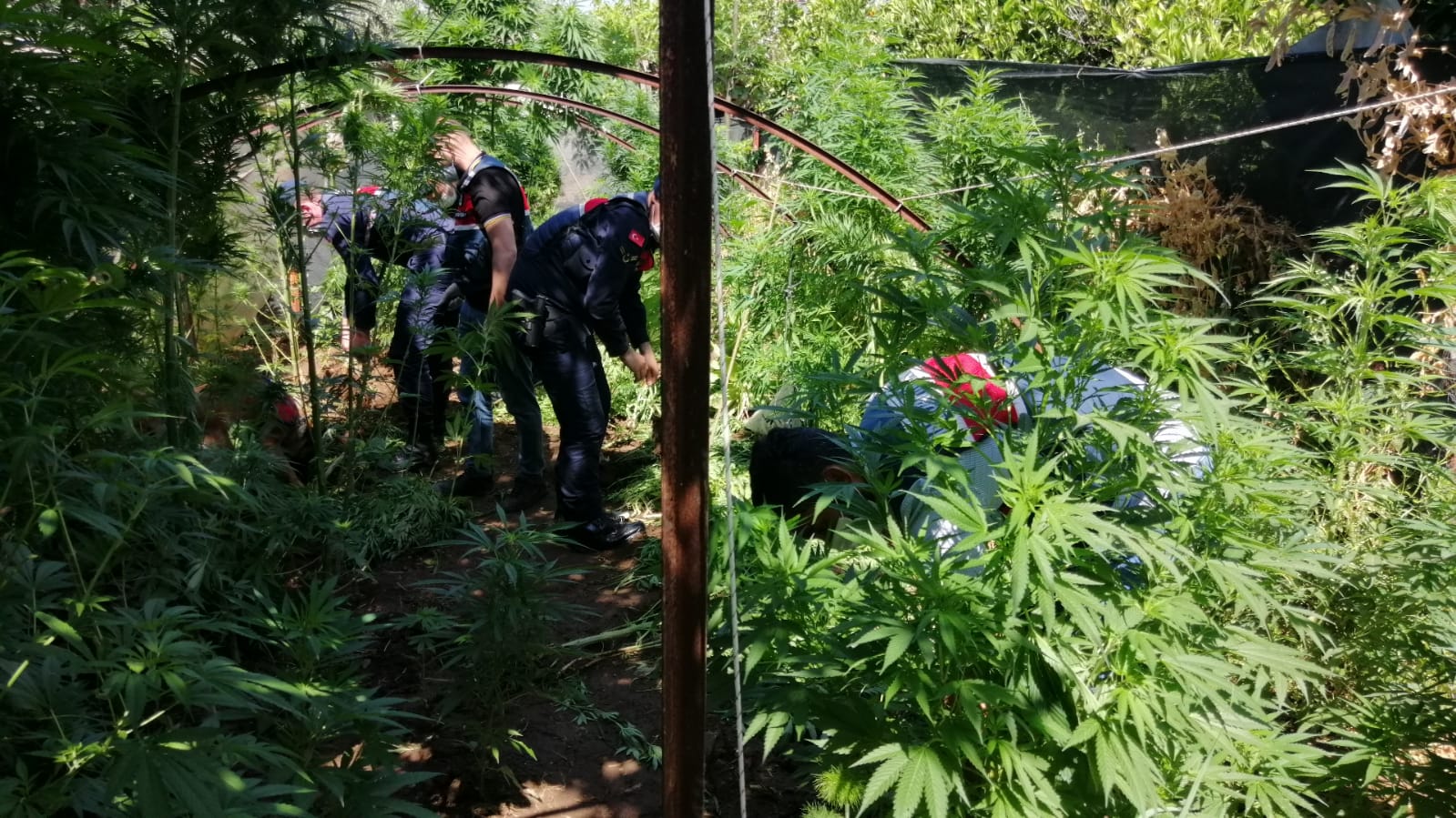 uyuşturucu operasyonunda 3 şüpheli yakalandı