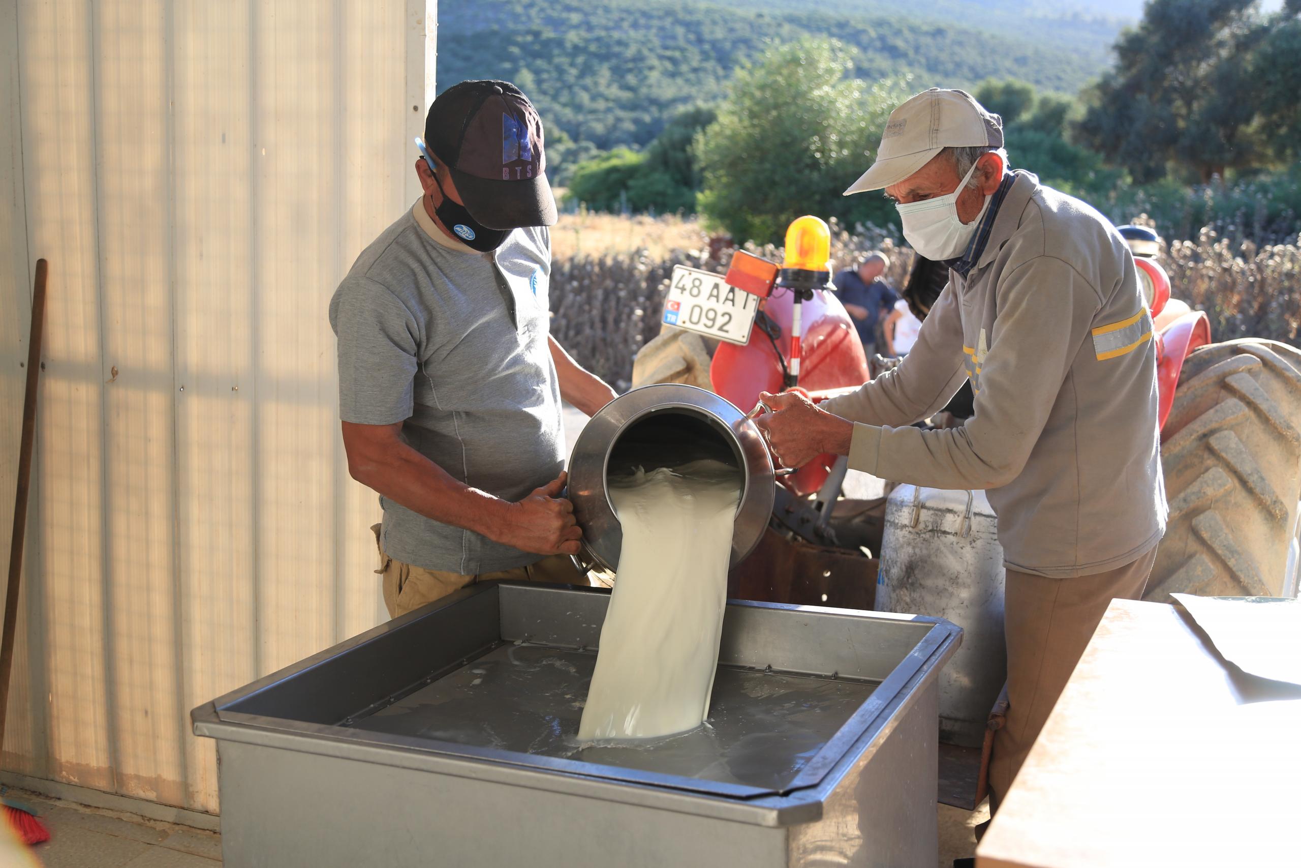 ÖRGÜTLÜ SÜT ÜRETİCİLERİNİN BAYRAMDA YÜZÜ GÜLDÜ