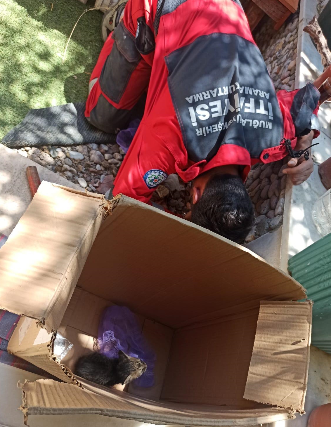 kanalizasyon borusuna sıkışan kedi yavruları kurtarıldı