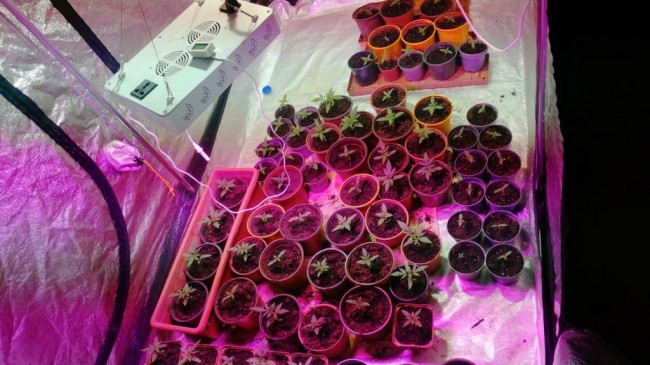 uyuşturucu operasyonunda 2 gözaltı