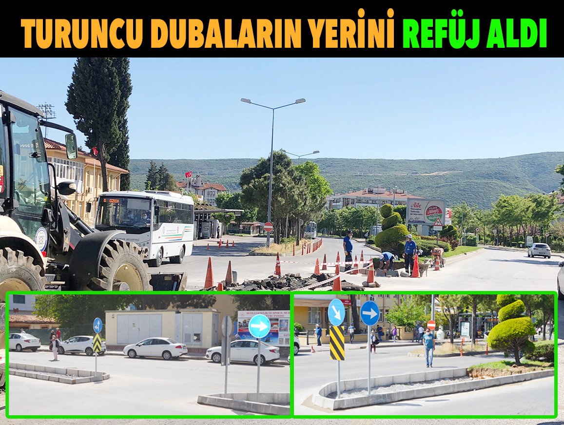 TURUNCU DUBALARIN YERİNİ REFüJ ALDI