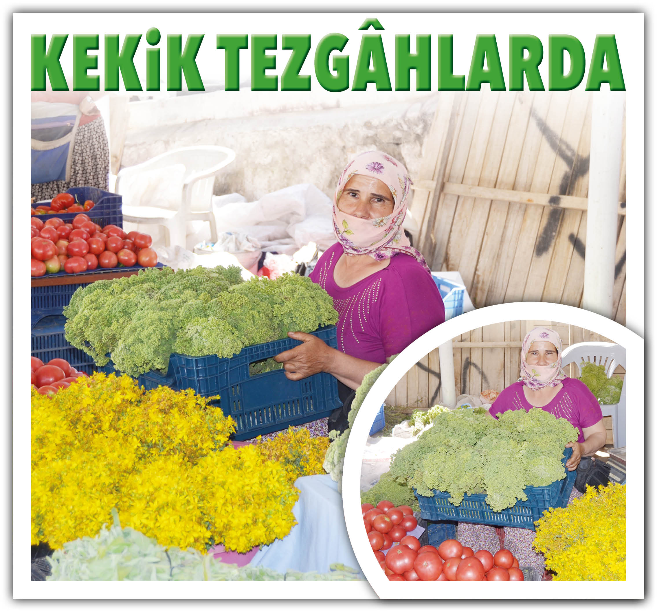 KEKİK TEZGÂHLARDA YERİNİ ALDI