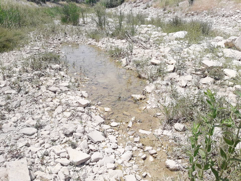 YATAĞAN ÇAYINDA SU KALMADI