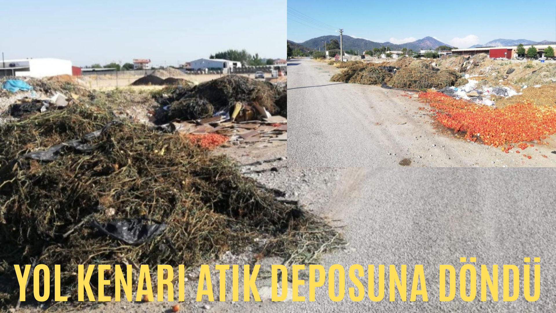 YOL KENARI ATIK DEPOSUNA DÖNDÜ