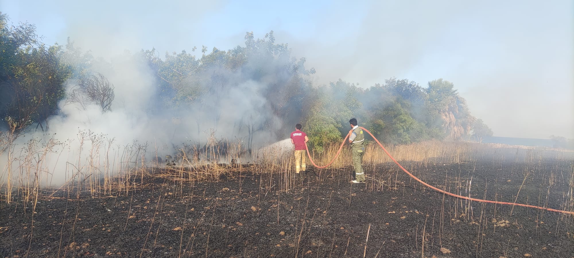 buğday ekili tarlada çıkan yangında 17 dönüm alan zarar gördü