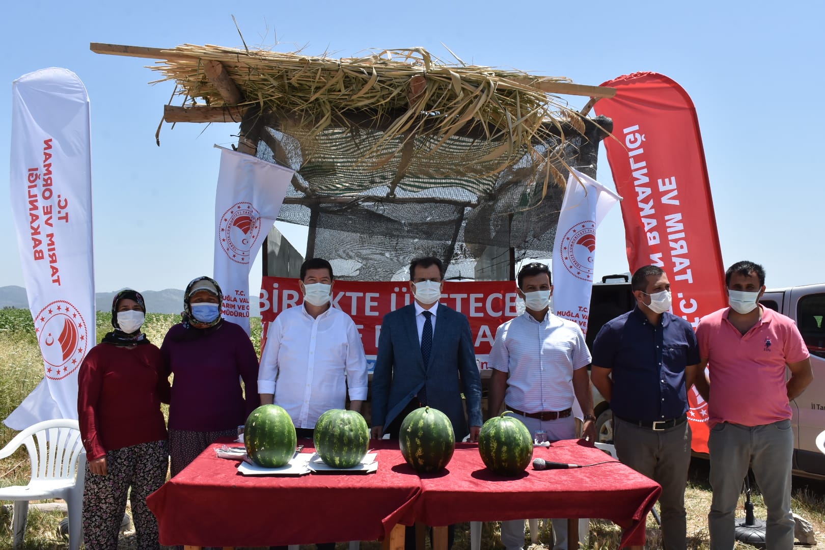 Ekim ve hasat aynı anda