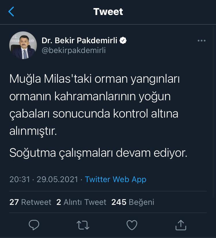 BAKAN PAKDEMİRLİ DUYURDU: ÇÖKERTME’DEKİ YANGIN KONTROL ALINDI