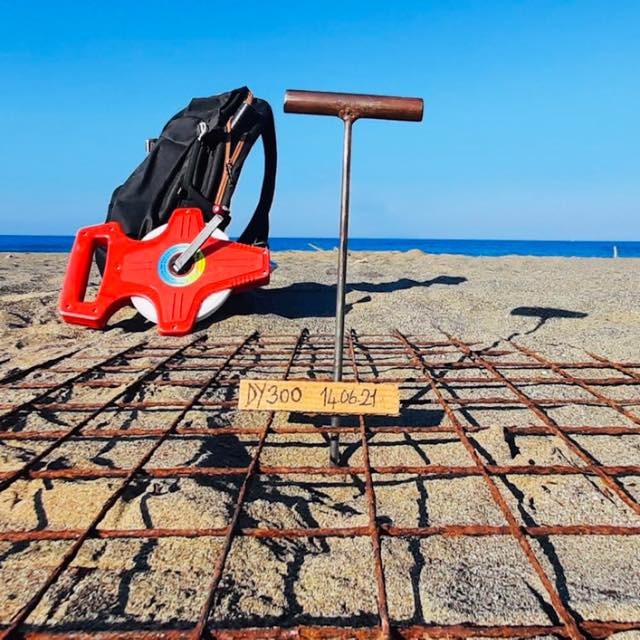 Caretta carettaların yuva sayısı 300’e ulaştı