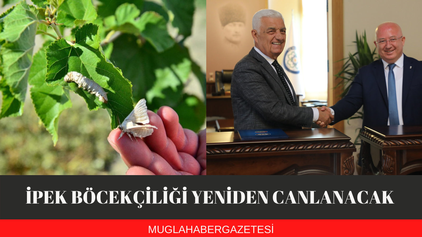 İPEK BÖCEKÇİLİĞİ YENİDEN CANLANACAK