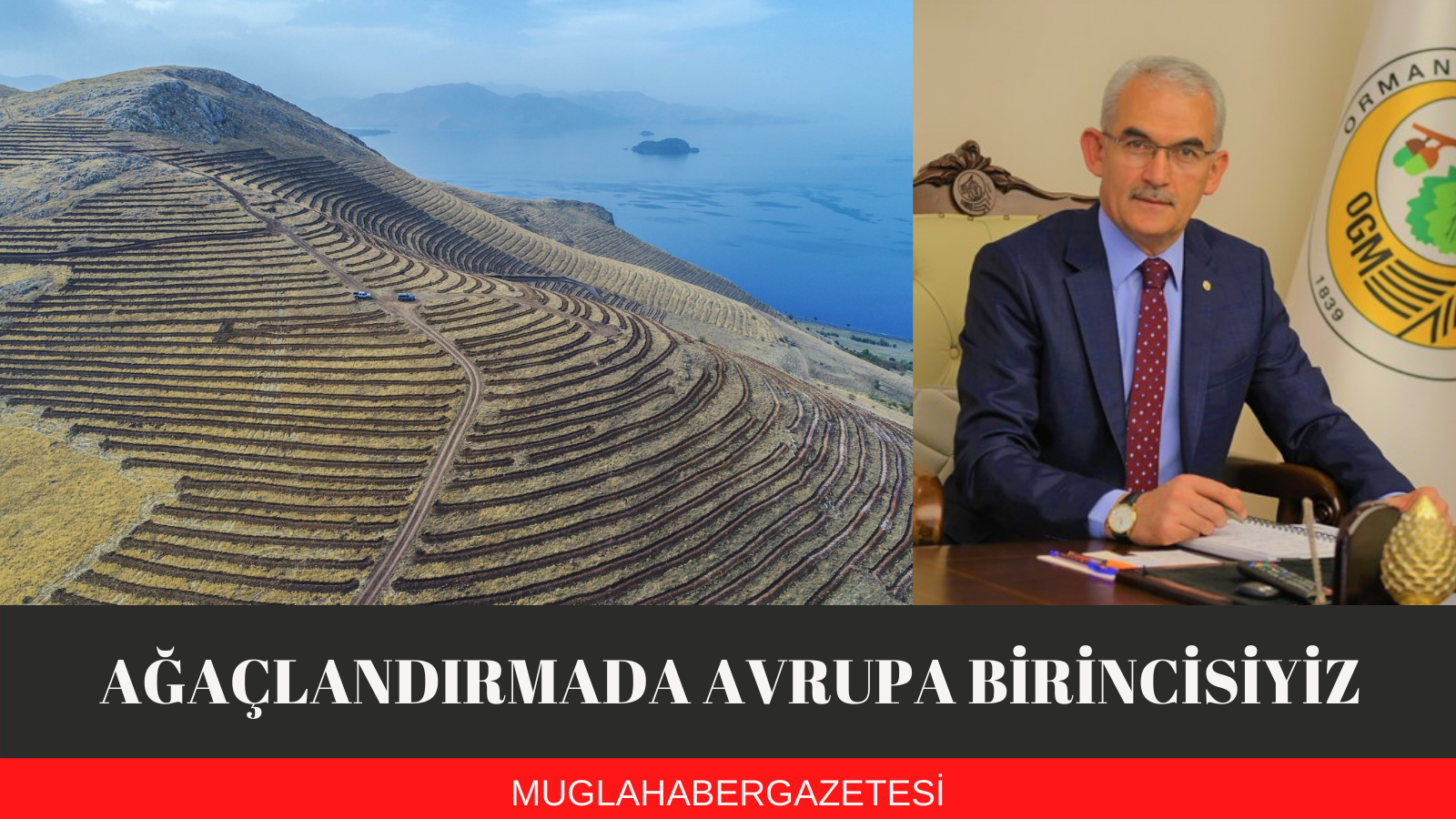 AĞAÇLANDIRMADA AVRUPA BİRİNCİSİYİZ