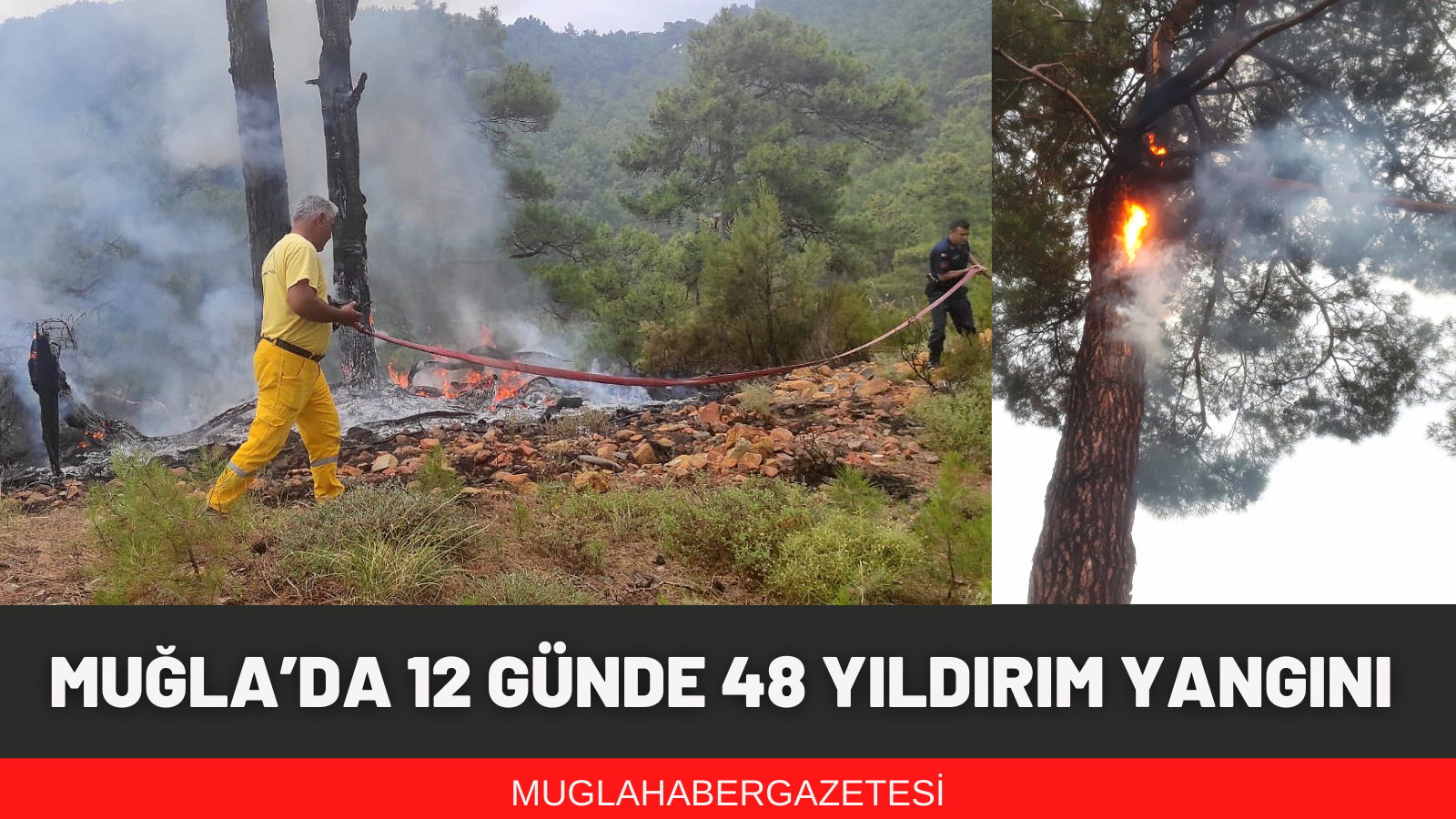 MUĞLA’DA 12 GÜNDE 48 YILDIRIM YANGINI