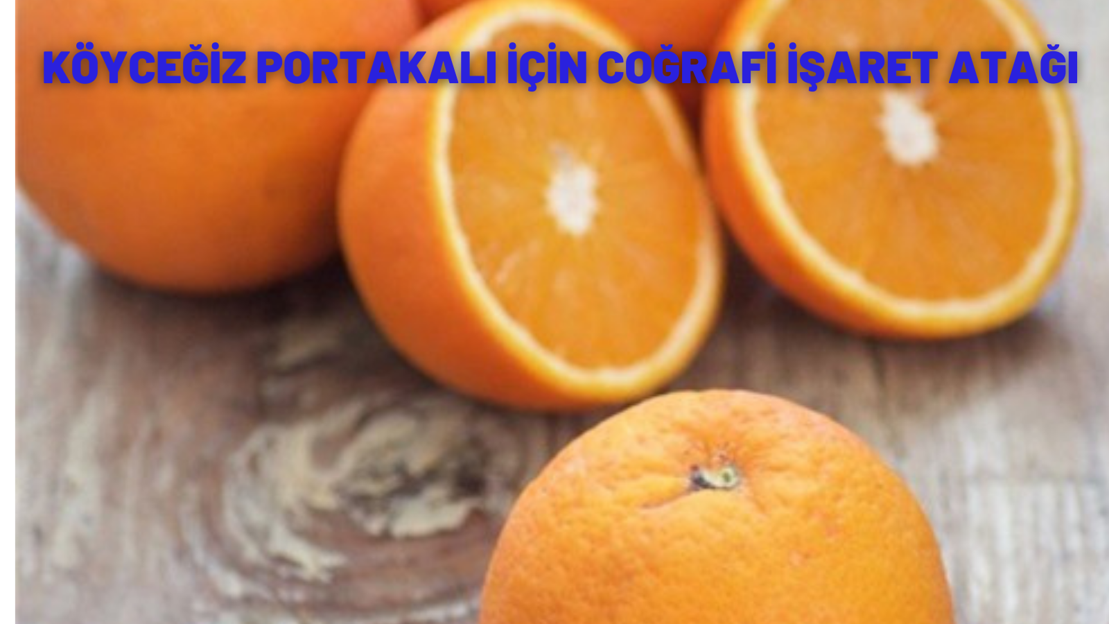 KÖYCEĞİZ PORTAKALI İÇİN COĞRAFİ İŞARET ATAĞI
