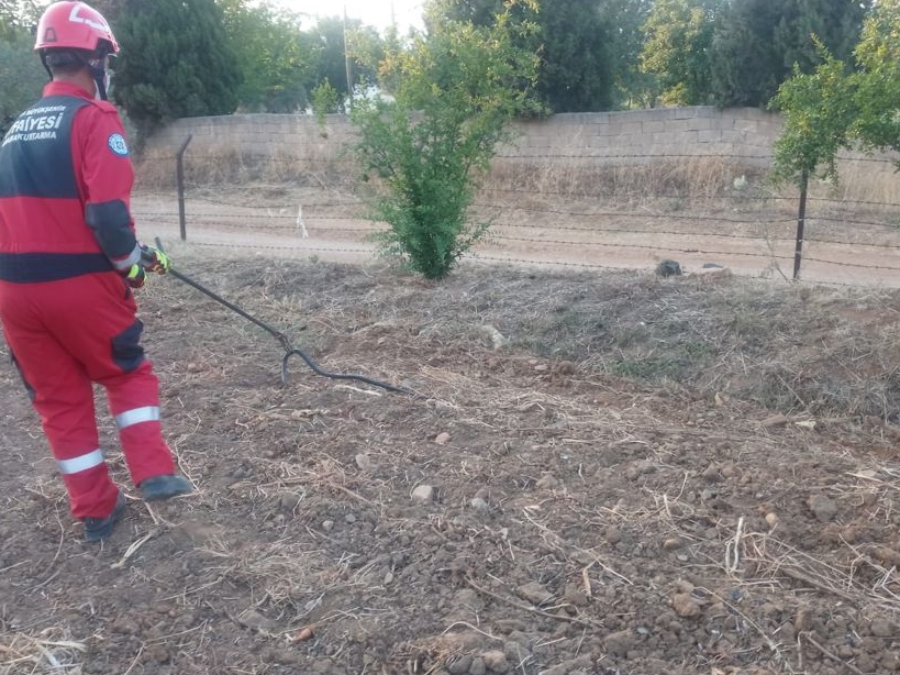 Otomobilin motoruna giren yılan itfaiye ekiplerince çıkarıldı