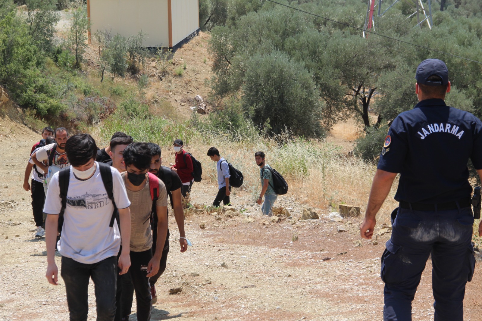 Muğla'da ormanlık alanda 74 düzensiz göçmen yakalandı