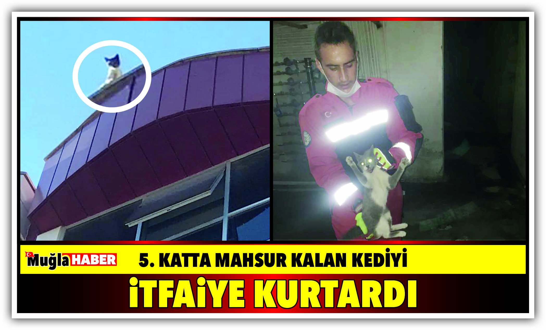 5. KATTA MAHSUR KALAN KEDİYİ İTFAİYE KURTARDI