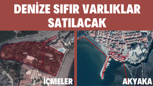 DENİZE SIFIR VARLIKLAR SATILACAK