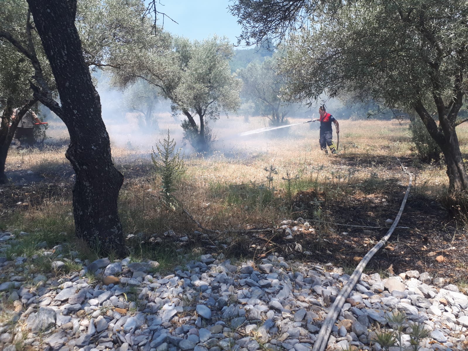 Muğla'da otluk ve zeytinlik alanda çıkan yangın söndürüldü