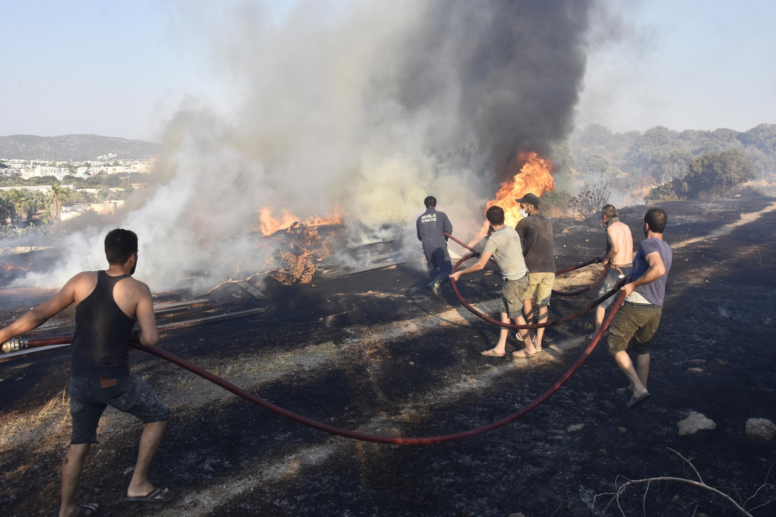 Bodrum'da makilik ve otluk alanda çıkan yangın söndürüldü