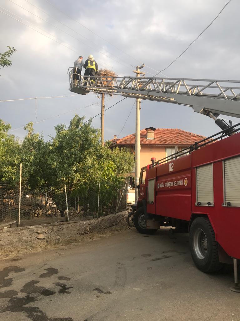 Muğla'da ayağına ip dolanan leyleği itfaiye kurtardı