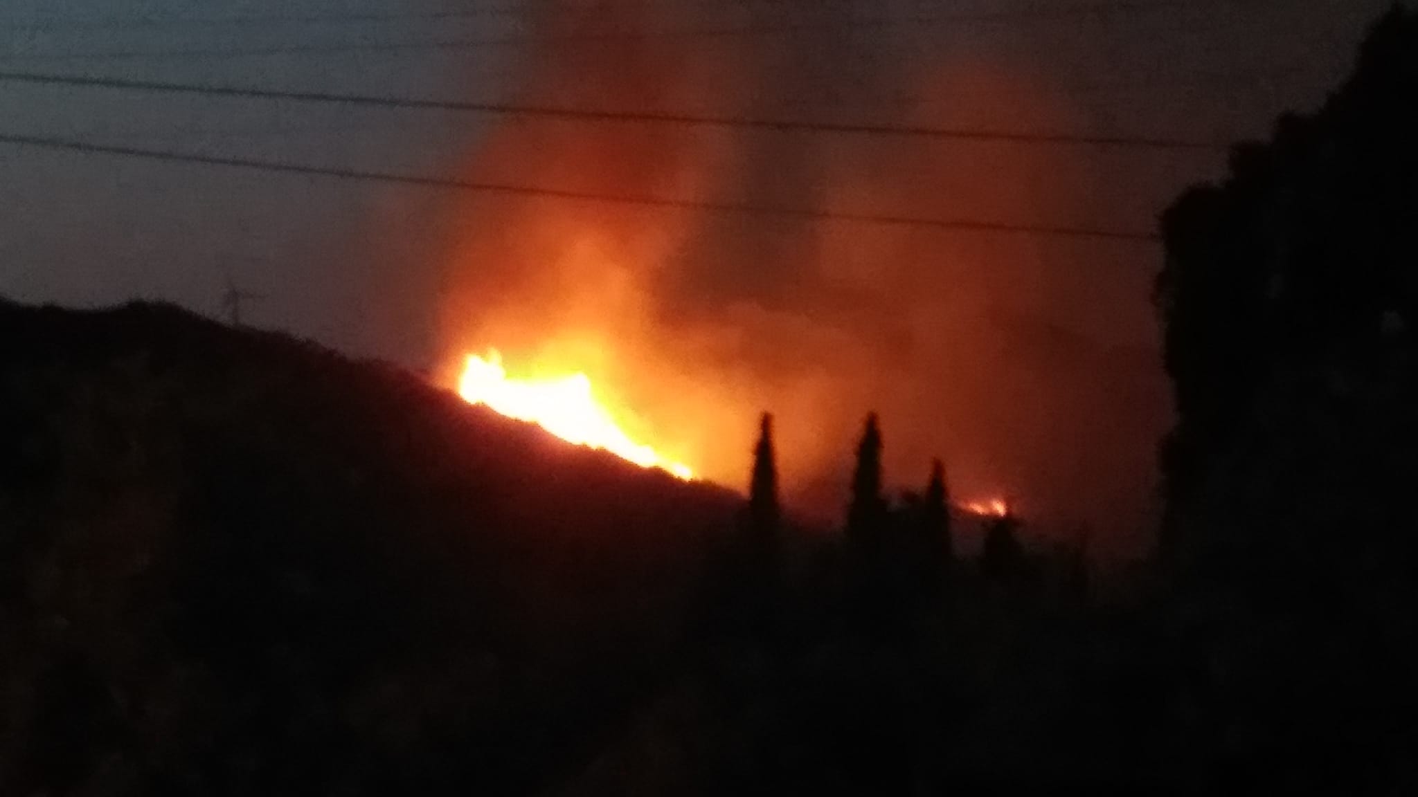 Bodrum’da 10 hektar makilik kül oldu